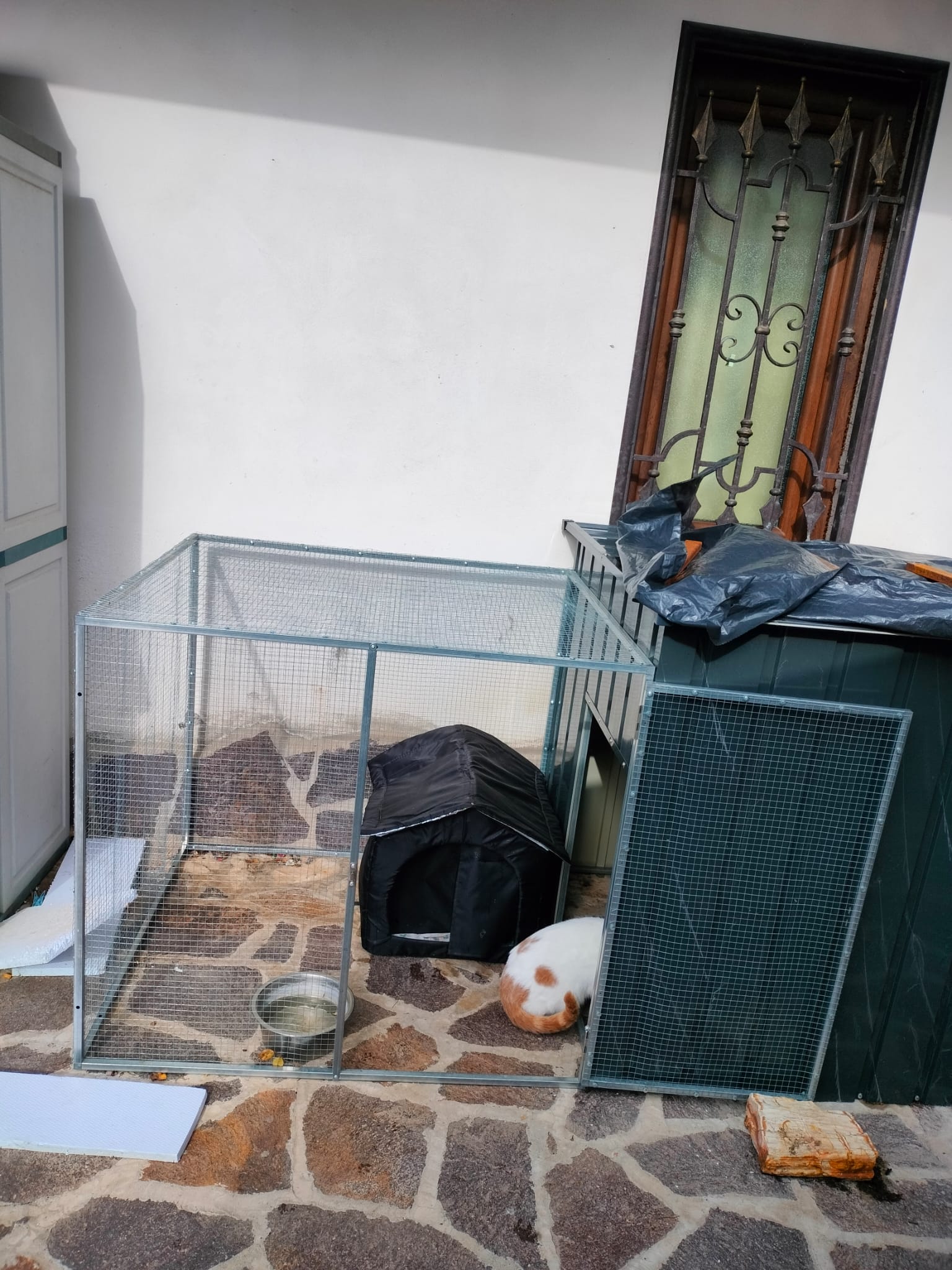 Le cucce provvisorie per i gatti del rifugio